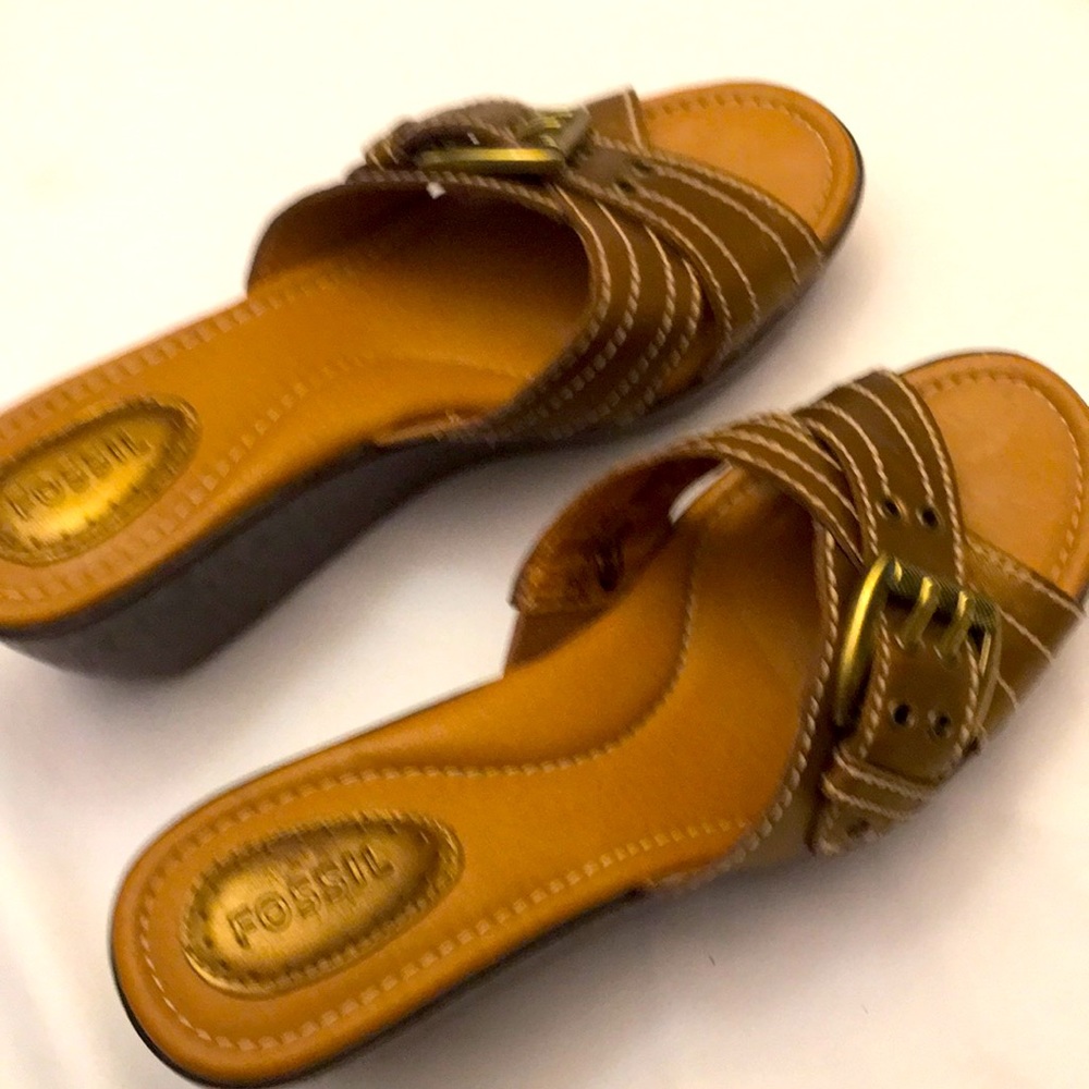 Fossil bronze wedge
